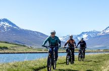 Svarfadadalur Private E MTB Tour