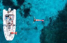 Golfo Aranci Dolphin Watching Tour with Biologist and 2 bath stops