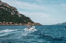 Golfo Aranci Dolphin Watching Tour at Sunset with Biologist