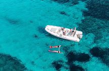 Golfo Aranci Dolphin Watching Tour with Biologist and 2 bath stops