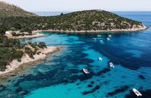 Golfo Aranci Dolphin Watching Tour at Sunset with Biologist