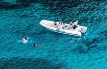 Golfo Aranci Dolphin Watching Tour at Sunset with Biologist