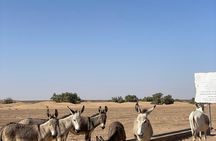 2 Days 1 Night Desert Tour to Erg Chigaga from Zagora