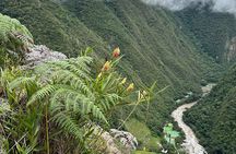2 Days Short Inca Trail
