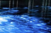 Bioluminescent Kayaking Tour Cocoa Beach