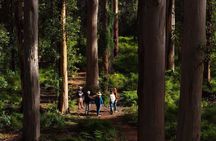 Margaret River 3-Day Escape | Small Group Tour from Perth