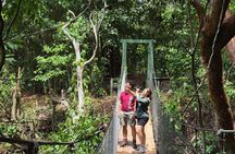 El Espino Eco Park Birdwatching Tour with a Naturalist Guide