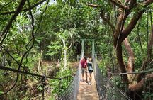 El Espino Eco Park Birdwatching Tour with a Naturalist Guide