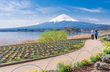 Mt. Fuji & Hakone Private Tour by Car with Licensed Guide