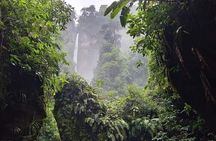 Jurassic Canyon Waterfall tour