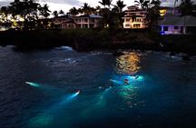 Turtle Town After Dark: With Lights & Stars (Turtle Guarantee)