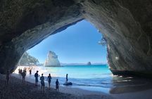 Cathedral Cove & Hot Water Beach Small Group Tour from Auckland