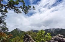Wild Adventures: Doi Saket Hidden Jungle Trek & Waterfall