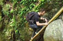 Wild Adventures: Doi Saket Hidden Jungle Trek & Waterfall