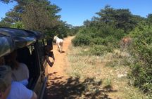 Brač Off Road Tour Hidden Villages Views and Local Stories