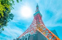 Sumo Show Experience at Tokyo Tower with Japanese Cuisine