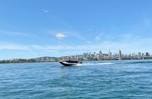 Ultimate Montreal Boat Tour: Picnic Cruise on the St. Lawrence