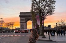 Notre-Dame and Hidden Paris A Local’s Walking Tour