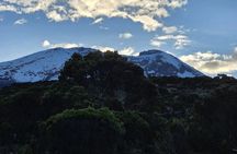 Mount Kilimanjaro Day Hike via Marangu Route by KILITA SAFARIS