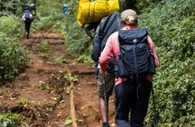 Mount Kilimanjaro Day Hike via Marangu Route by KILITA SAFARIS