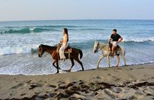Horseback Riding Adventure through the Landscapes of Punta Cana