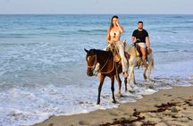 Horseback Riding Adventure through the Landscapes of Punta Cana