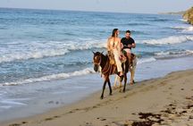 Horseback Riding Adventure through the Landscapes of Punta Cana