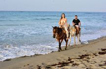 Horseback Riding Adventure through the Landscapes of Punta Cana