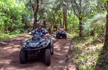 Bora Bora ATV Tour Adventures: Mount Popoti 360° & Faanui Valley