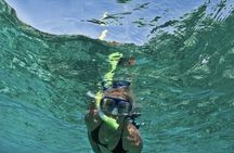 Frisky Mermaid Bay Cruise + Reef Snorkeling + Equipment