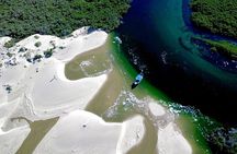 Walk between Dunes and Mangroves of Bahia Magdalena
