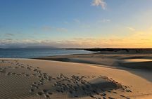 Walk between Dunes and Mangroves of Bahia Magdalena