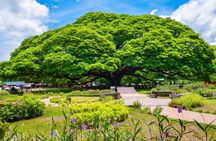 Kanchanaburi Private Tour: Erawan Waterfall & Mystical Temples