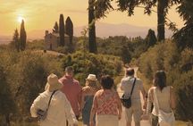 Siena: Chianti Sunset Tour with Dinner & Wine Tasting