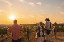 Siena: Chianti Sunset Tour with Dinner & Wine Tasting