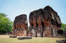 Polonnaruwa Ancient City & Minneriya Elephant Safari