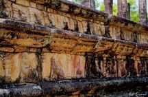 Polonnaruwa Ancient City & Minneriya Elephant Safari