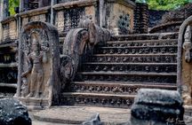 Polonnaruwa Ancient City & Minneriya Elephant Safari