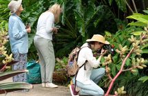 1-Hour Cairns Botanic Gardens Evening Family Experience