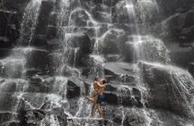 Ubud Private Day Tour : Waterfalls, Water Temple & Rice Terrace
