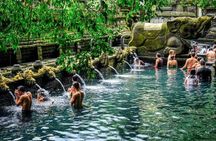 Ubud Private Day Tour : Waterfalls, Water Temple & Rice Terrace
