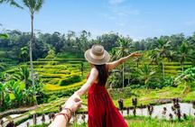 Ubud Private Tour : Tirta Empul, Rice Terraces & Waterfalls