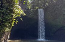 Ubud Private Day Tour : Waterfalls, Water Temple & Rice Terrace