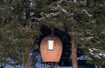 Private Bergen Food, History and Fløibanen Viewpoint Tour
