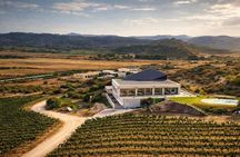 Wine tasting in Gallura with typical products