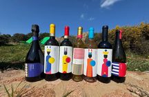 Wine tasting in Gallura with typical products