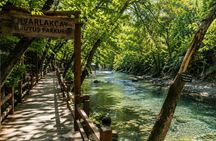 Waterfall wellness : Breathwork and forest bathing in Köycegiz