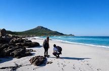 Hiking Cape of Good Hope & Cape Point Private Full Day Tour