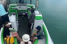 Private half day reef fishing with lunch