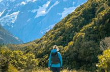 Queenstown to Christchurch: Wānaka, Mt Cook & Tekapo 1-Way Tour
